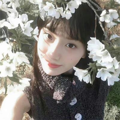 蓝色栀子